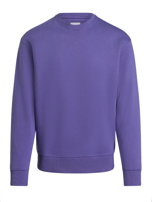 Basic Sweatshirt crewneck